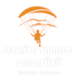 puremotive logo 1