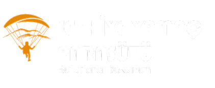 puremotive logo 2